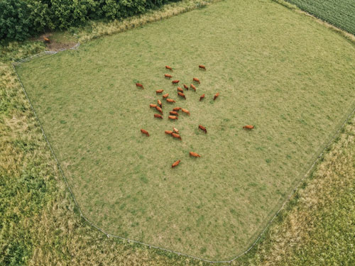 Drone Photography and Videos for Agriculture in South Jersey | Skyhigh Visuals