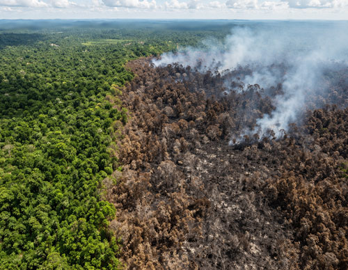 Drone Photography and Videos for Agriculture in South Jersey | Skyhigh Visuals